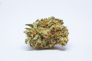 Chernobyl Marijuana Strain