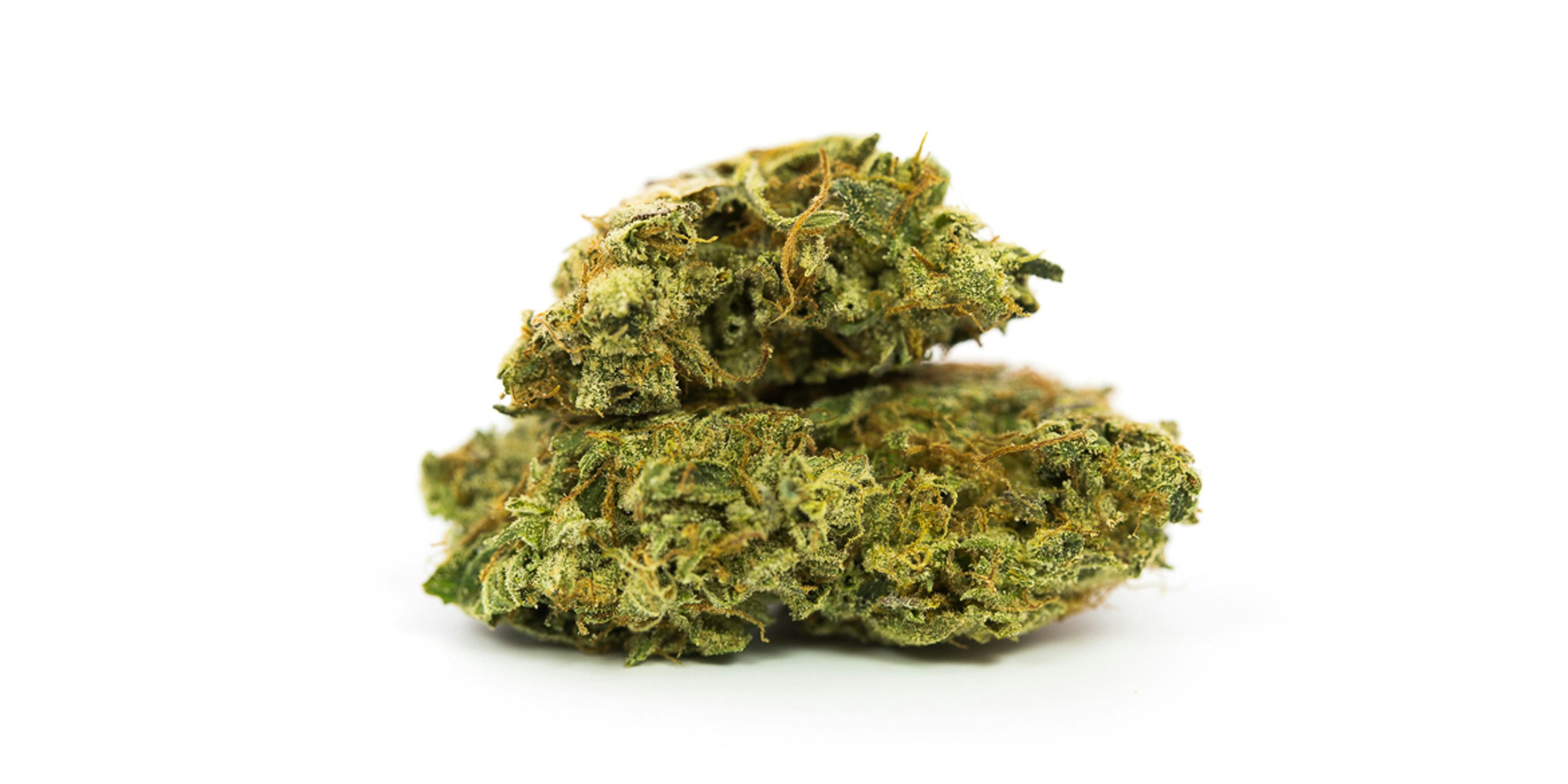 Chiquita Banana Marijuana Strain Wiz Khalifa Hot Boxes Dressing Room; Boots Shiggy For Coughing
