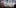Coachella 2017 10 8 Heres What 81 Pounds Of Seized Weed Looks Like