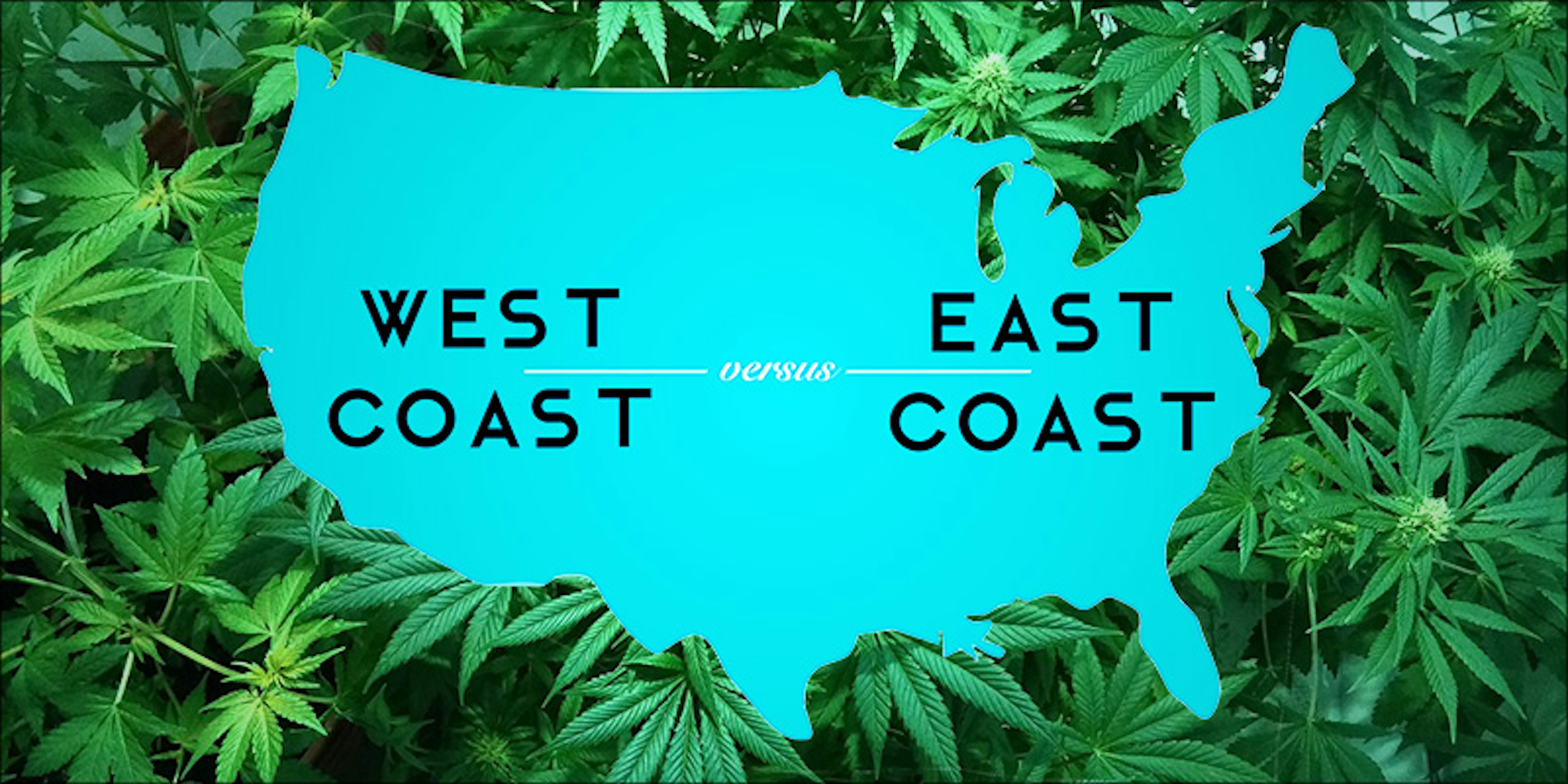 East Coast VS. West Coast: Who Has The Best Weed? | Herb