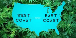 East Coast VS. West Coast: Who Has The Best Weed?