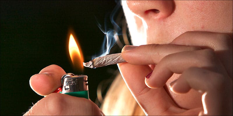 German Study To 1 25,000 Cannabis Consumers Wanted for New German Study