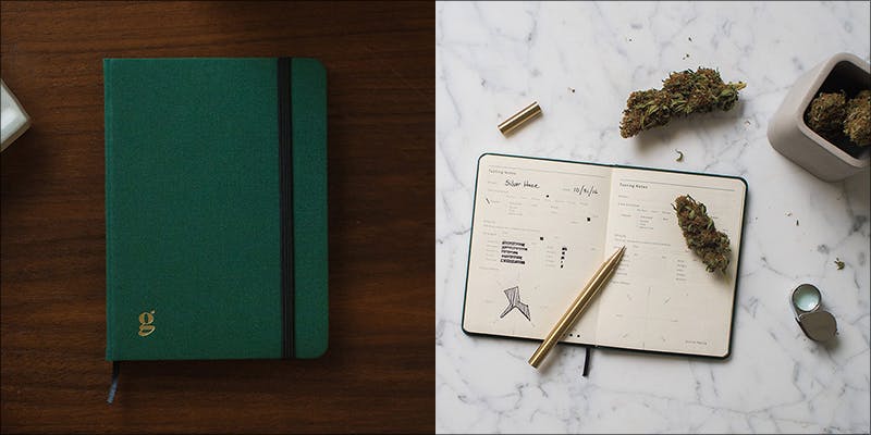 Goldleaf Patient Journal