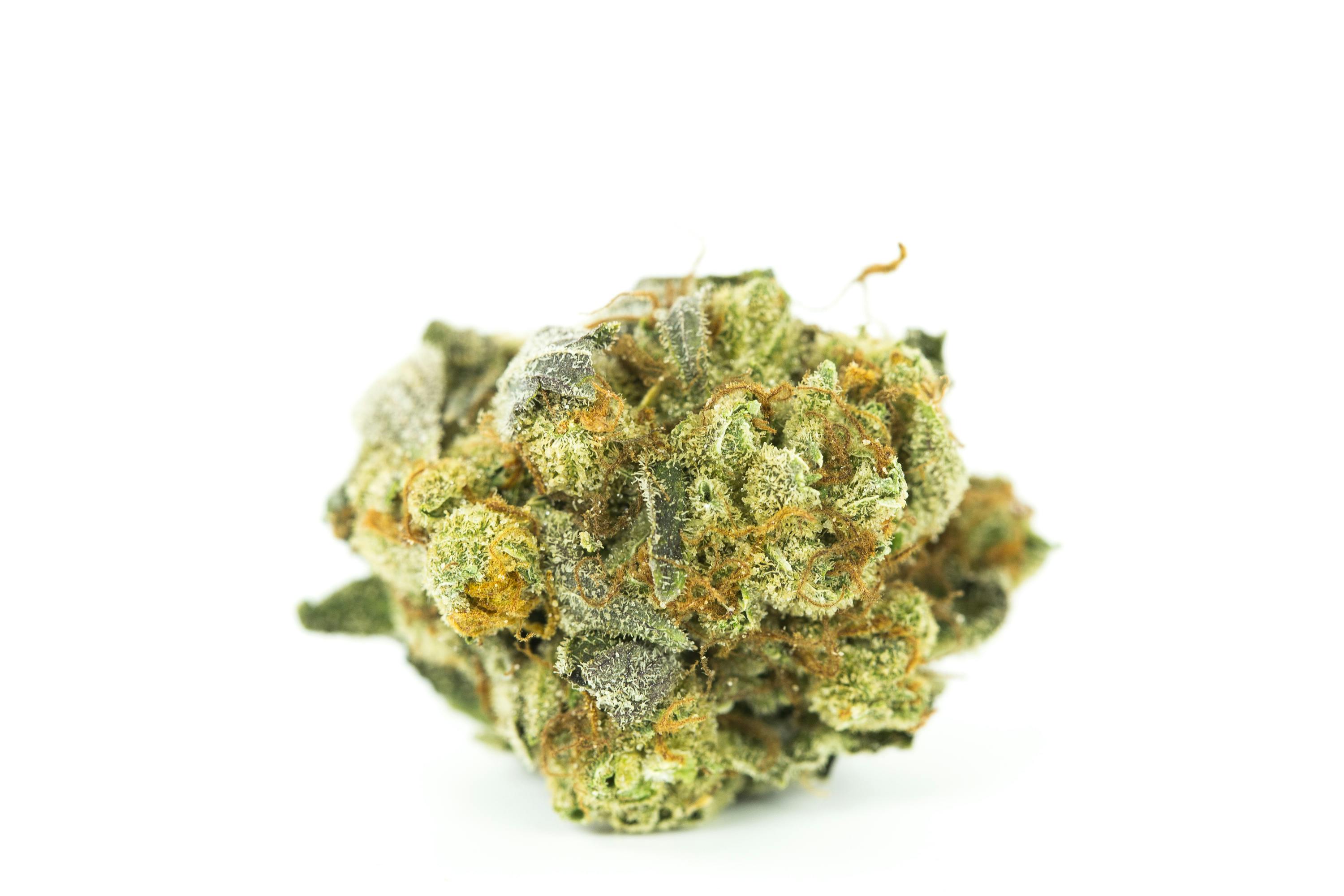 Laughing Buddha Strain of Marijuana | Weed | Cannabis | Herb | Herb