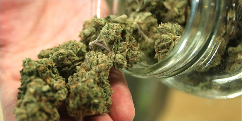 Marijuana Industry Researchers 3 Texas Just Took A Major Step Toward Cannabis Decriminalization