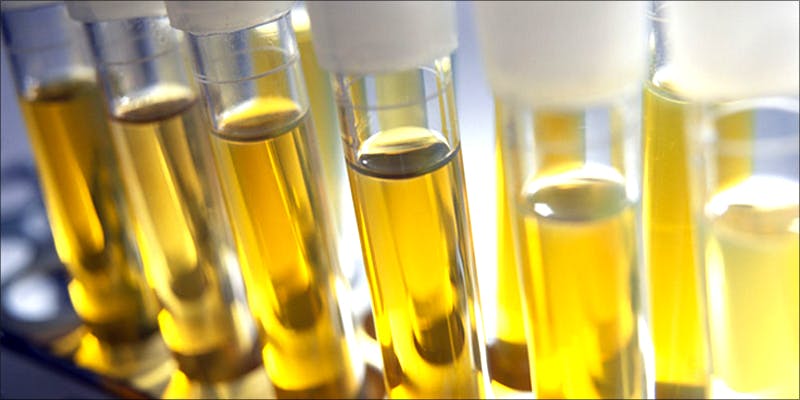 Quick Fix Synthetic Urine
