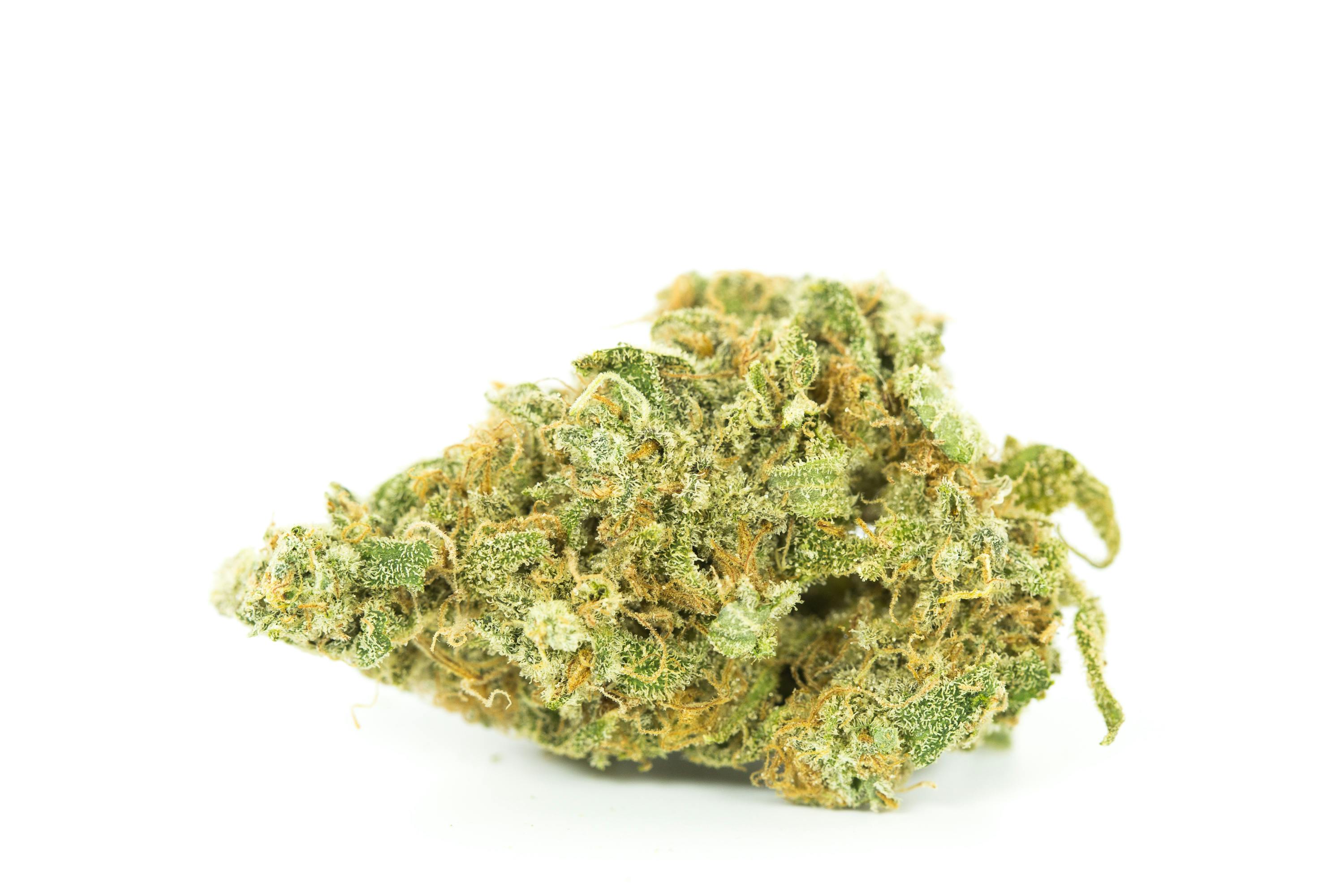 Stardawg Guava Weed; Stardawg Guava Cannabis Strain; Stardawg Guava Sativa Marijuana Strain