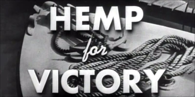 Ten Cool Facts 3 10 Cool Facts About Hemp You Probably Didnt Know