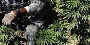 This Group Gives Away Free Weed For Veterans In Need