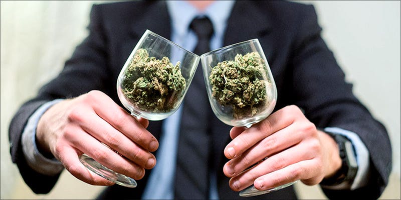 The Novices Guide new The Novices Guide To Dealing With Weed Dealers