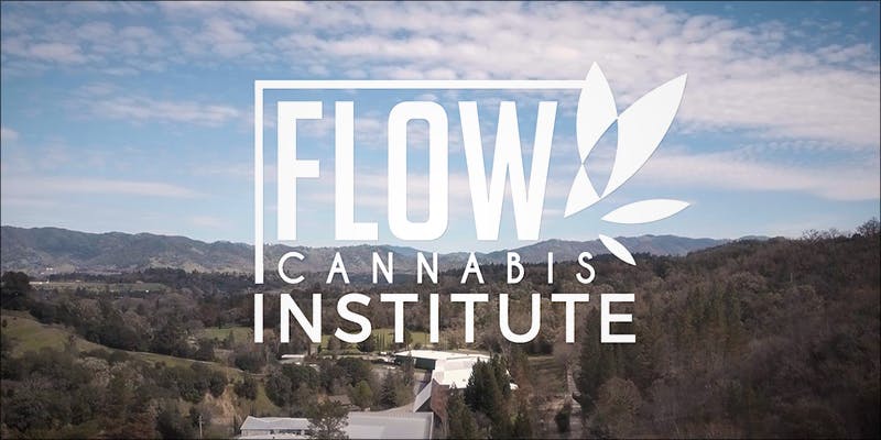 Flow Kana Institute