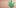 Top Ten 420 5 10 Best Indica Strains To Round Off Your 420 Celebrations