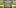 Top Ten 420 9 2 10 Best Indica Strains To Round Off Your 420 Celebrations