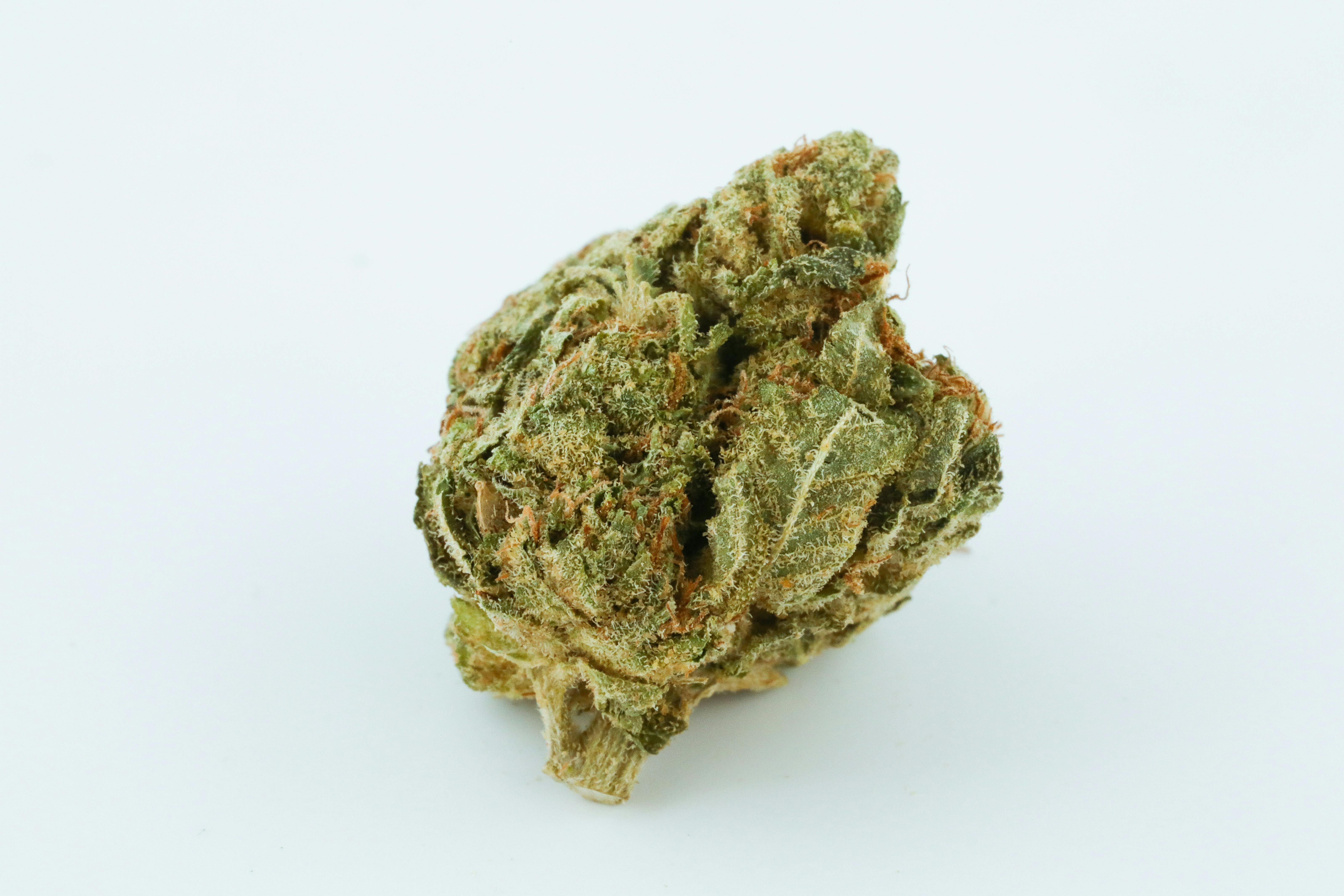 Tutankhamun King Tut Marijuana Strain