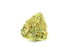 Violator Kush Marijuana Strain