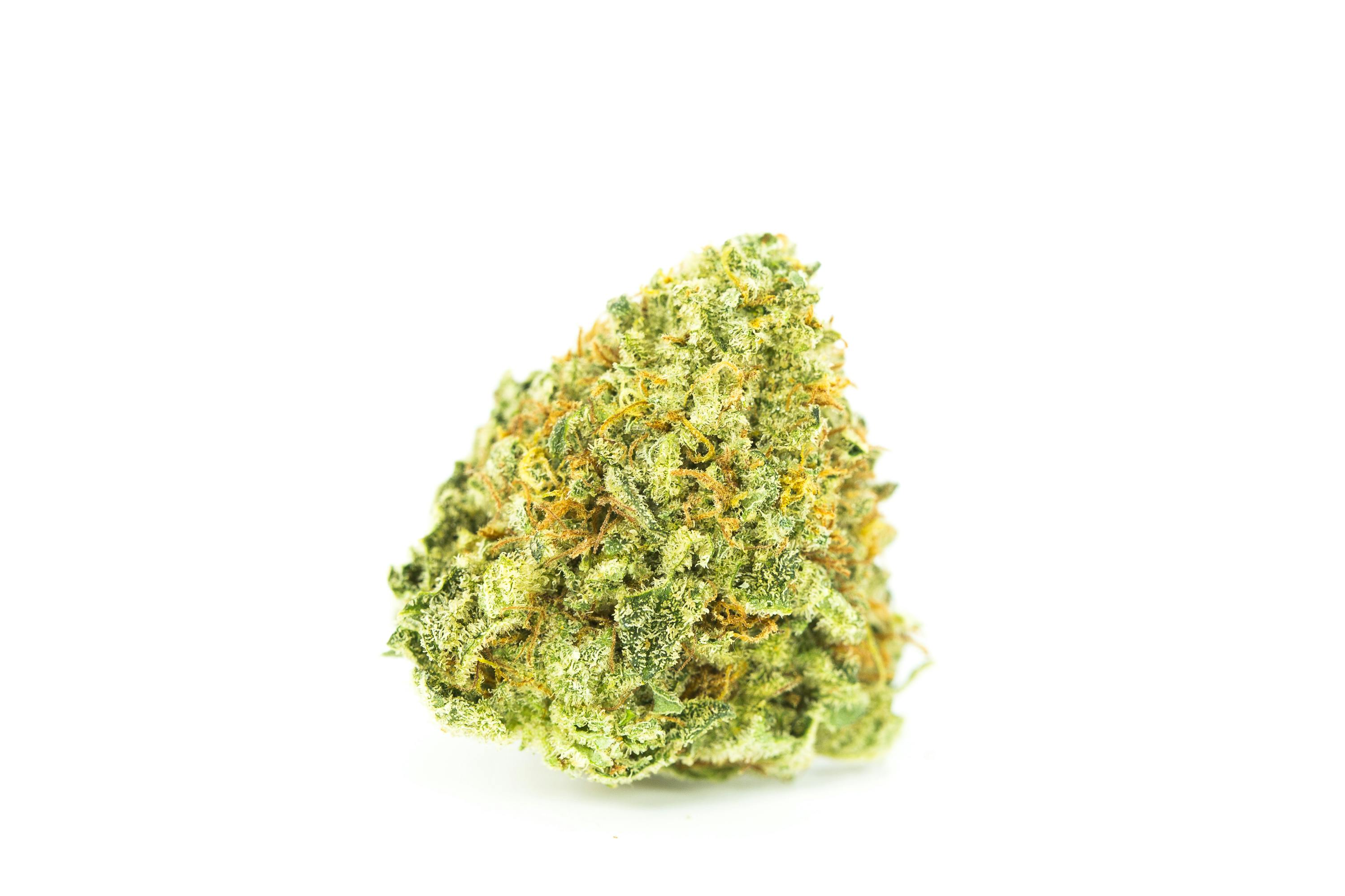 Violator Kush Weed; Violator Kush Cannabis Strain; Violator Kush Indica Marijuana Strain