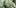 What Cannabis Buds 10 The First Cannabis Exchange Traded Fund Is Ready For Investors