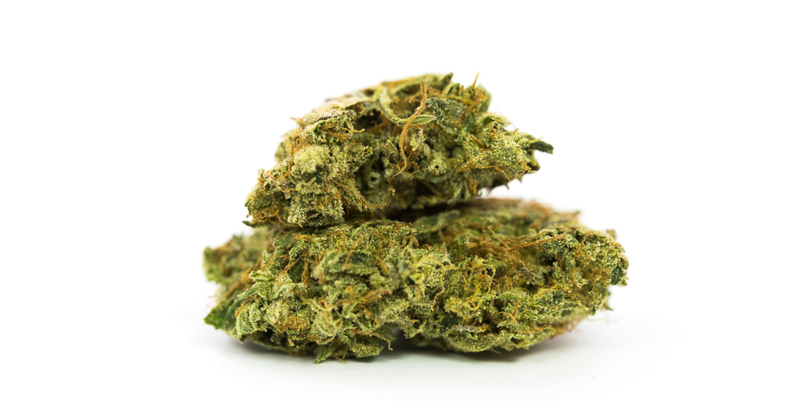 The Strongest Strains On The Planet Herb
