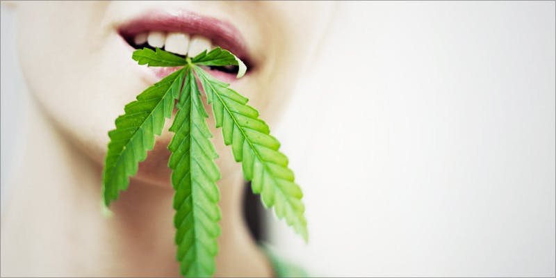 beauty 1 Heres Why The Beauty Industry Is Embracing Cannabis Like Never Before