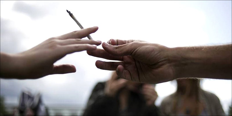 festival 2new Festival Season Is Close, Heres What Weed Lovers Need To Know