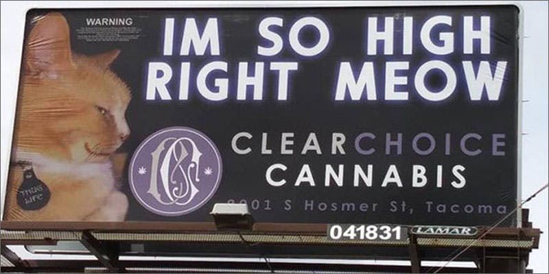 meow Washington State Lawmakers Dont Think Cannabis Billboards Should Appeal To Kids