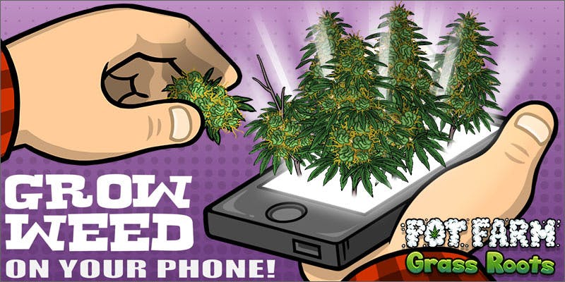 potfarm 5 Of The Best 420 Apps You Cant Live Without