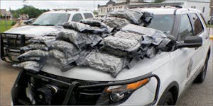 Here’s What 81 Pounds Of Seized Weed Looks Like