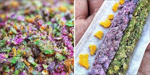 10 Best Instagram #WeedPorn Pics From 420