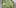 7 Marijuana Strains 2 10 Things Youll Understand If Youre A 20 Something Weed Smoker