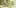 7 Marijuana Strains 3 10 Things Youll Understand If Youre A 20 Something Weed Smoker