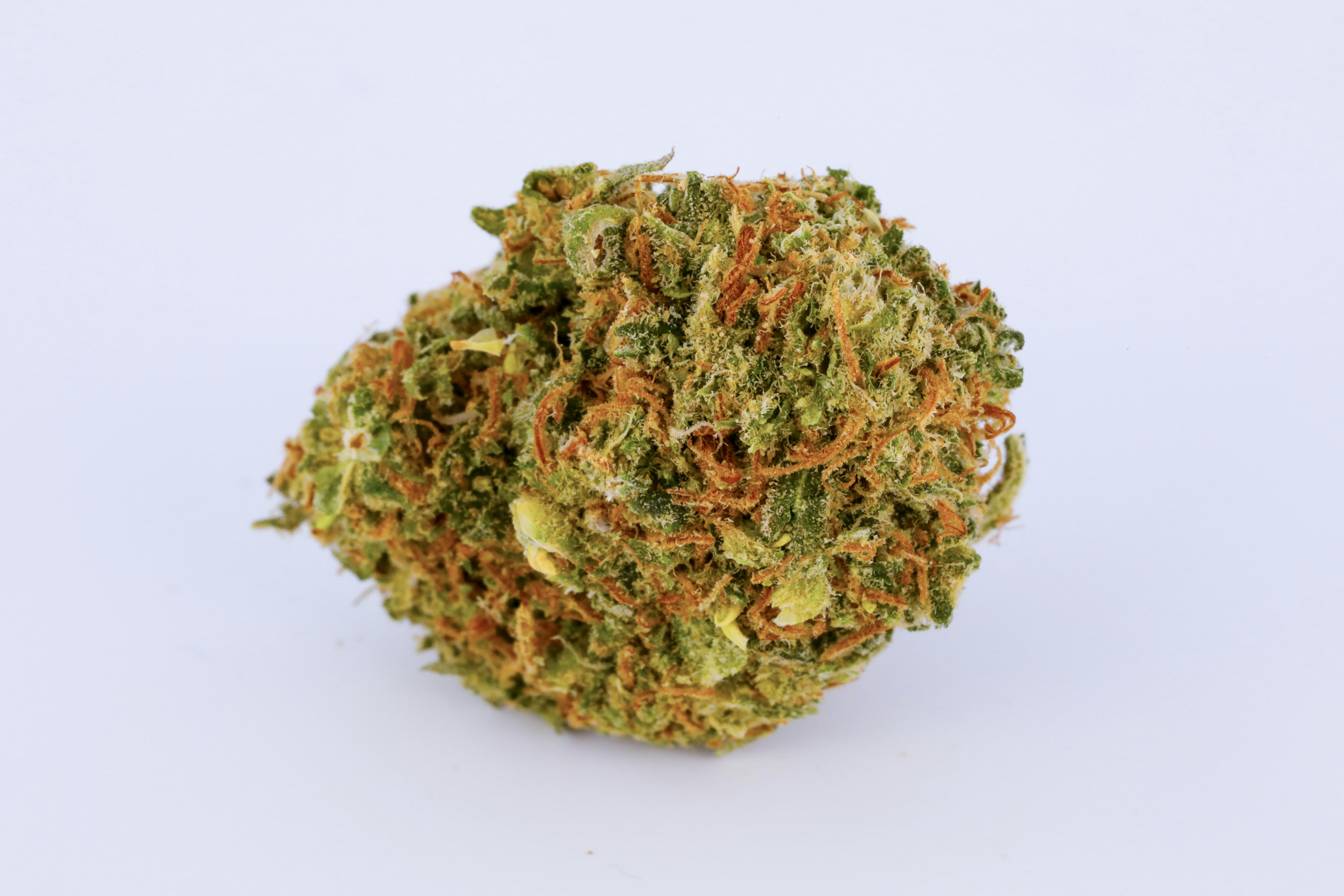 Dream Queen 1  Jack Flash Marijuana Strain