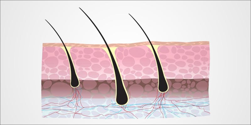 How Hair Follicle 1 How Hair Follicle Tests Are Changing The Drug Testing Game