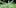 How To Grow 2 10 Things Youll Understand If Youre A 20 Something Weed Smoker