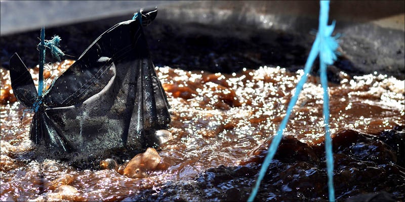 How To Grow 7 15 Questions Every First Time Weed Smoker Wants Answered