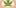 Marijuana Is A 3 7 Things That may Happen the First Time you Smoke Weed