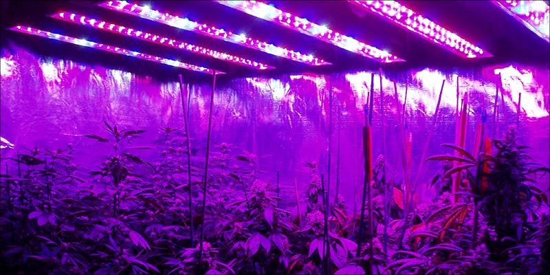 Perfect Grow Room lights 8 Steps To Building The Perfect Indoor Grow Room