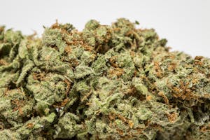 Sin City Kush Marijuana Strain