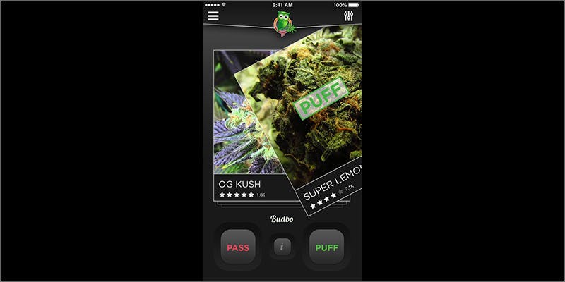 budbopp Heres How Budbo Will Help You Find Your New Favorite Strain