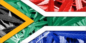 Cannabis Now Legal In South Africa, But Stoners Don’t Have The Green Light