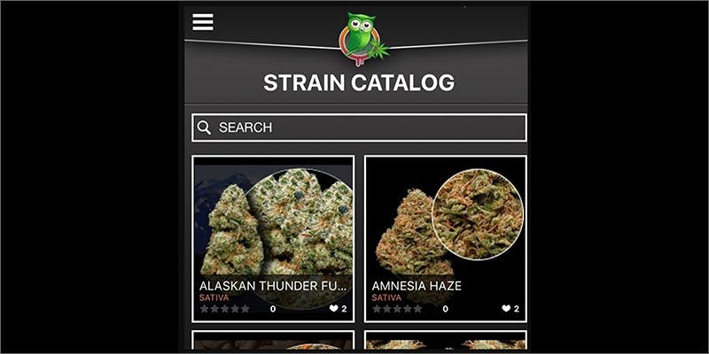 strainsbudbo Heres How Budbo Will Help You Find Your New Favorite Strain