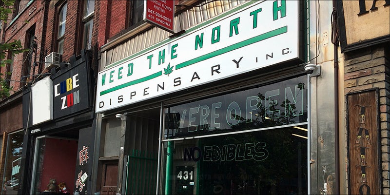 10 Best Dispensaries 9 The Best Dispensaries In Toronto