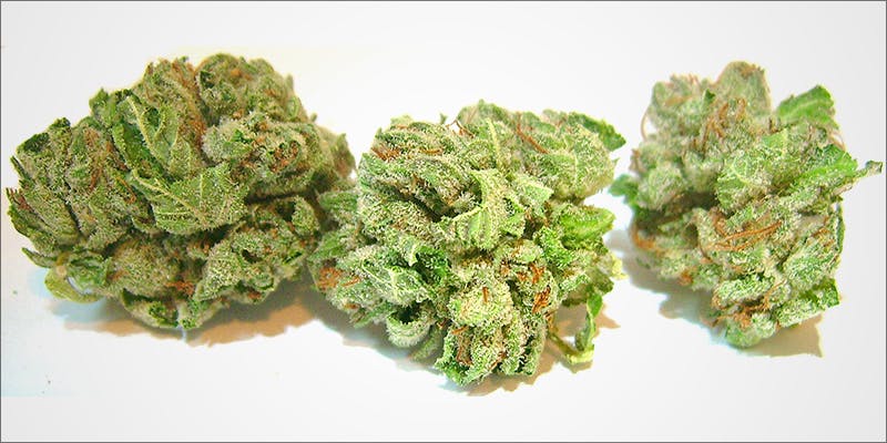 What Strains Should You Be Mixing Together For The Best High? Herb