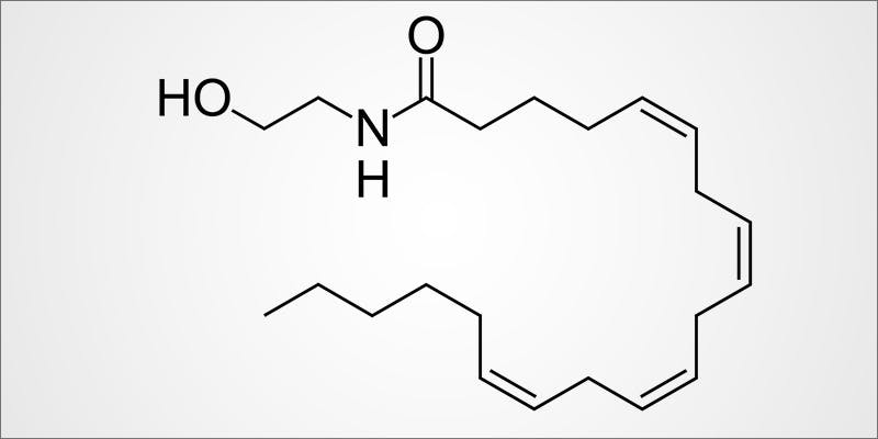 Anandamide 1 Anandamide (AEA): The Bliss Molecule is the Human Version of THC