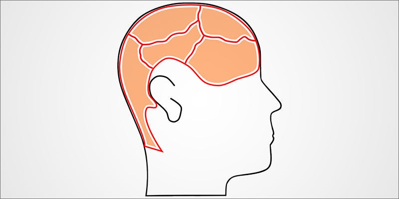 Anandamide 6 Anandamide (AEA): The Bliss Molecule is the Human Version of THC