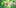How Vaping Can 5new How Vaping Can Help You Become A Terpene Connoisseur