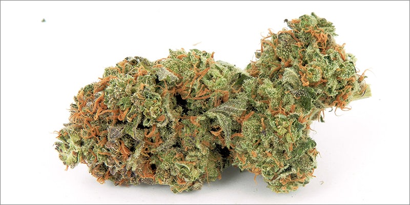 Terms To Understand 10 20 Terms To Understand If Youre A Newbie Weed Smoker