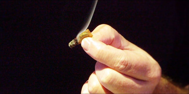 Terms To Understand 13 20 Terms To Understand If Youre A Newbie Weed Smoker