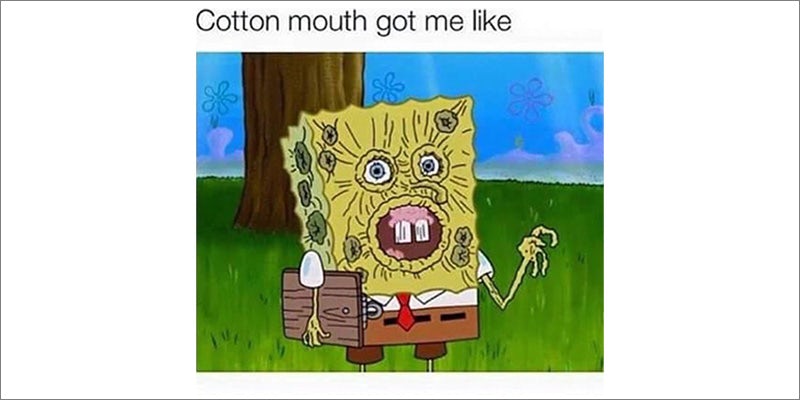 Terms To Understand 18 20 Terms To Understand If Youre A Newbie Weed Smoker