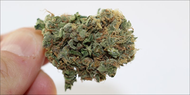 Terms To Understand 9 20 Terms To Understand If Youre A Newbie Weed Smoker