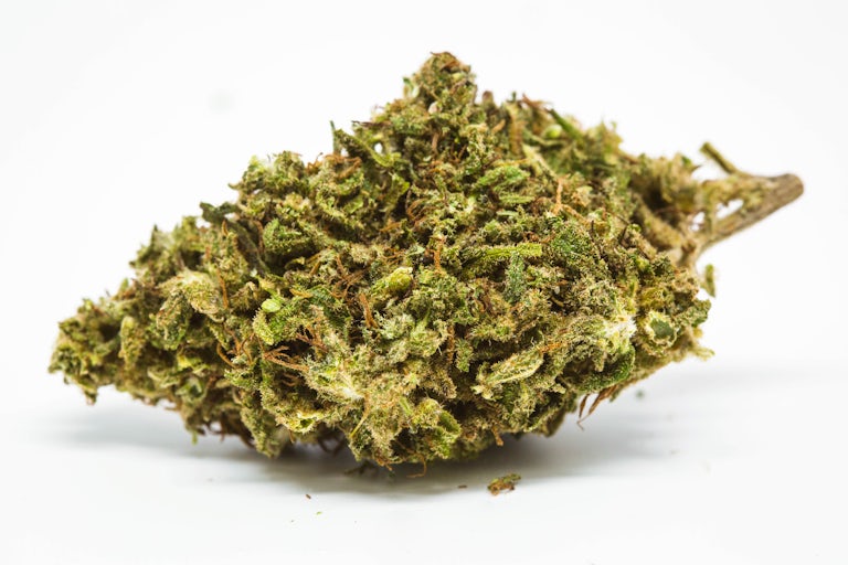 Traphouse Chocolate Thai 9 1 Landras soorten: Everything You Need To Know About Landrace Cannabis Strains